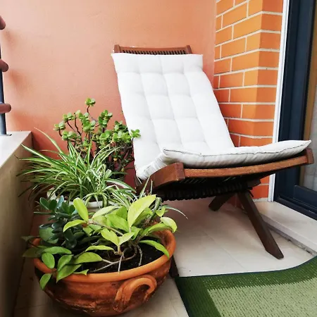 Pantanal Hostal *